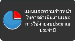 แผนและความก้าวหนาในการดําเนินงานและการใช้จ่ายงบประมาณประจําปี